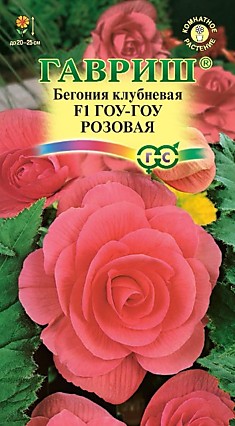 Семена Бегония Гоу-гоу розовая