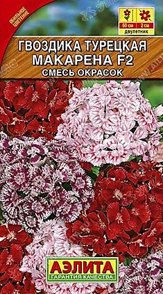 Семена Гвоздика турецкая Макарена смесь