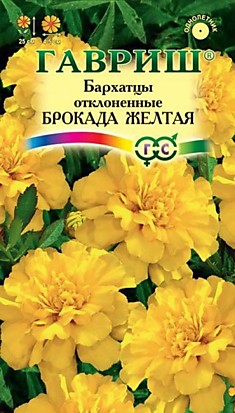 Семена Бархатцы Брокада желтая									