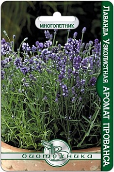 Семена Лаванда Аромат Прованса