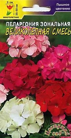Семена Пеларгония Великолепная смесь