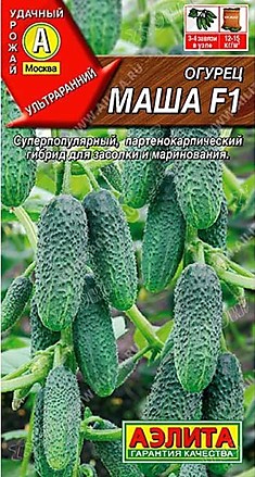 Семена Огурец Маша 
