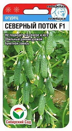 Семена Огурец Северный Поток