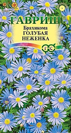 Семена Брахикома Голубое великолепие