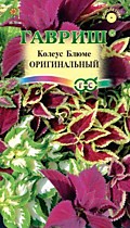 Цветы комнатные