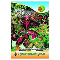 Цветы комнатные