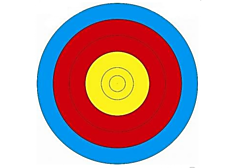Мишень Remington №4 спортивная 500х500 черная 