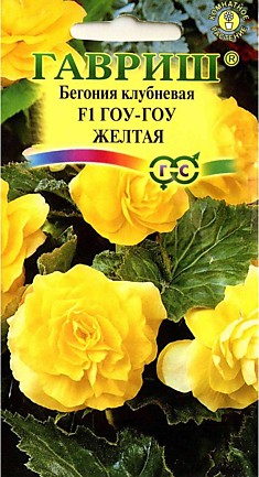Семена Бегония Гоу-гоу желтая
