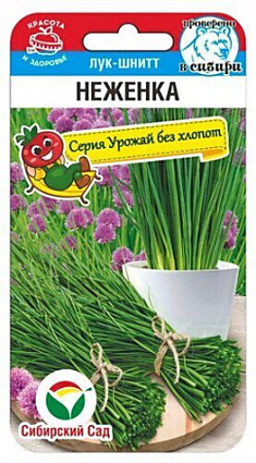 Семена Лук шнитт Неженка