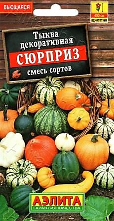 Семена Тыква декоративная Сюрприз смесь