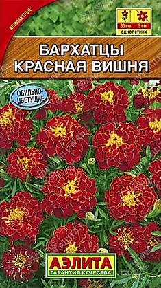 Семена Бархатцы Красная вишня отклоненные  Аэлита Ц