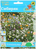 НЕ ЗАКАЗЫВАТЬ и ПУСТЫЕ