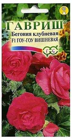 Семена Бегония Гоу-гоу вишневая