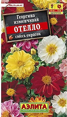 Семена Георгин Отелло смесь 