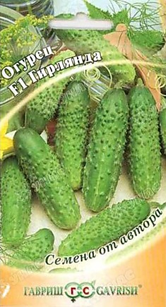 Семена Огурец Гирлянда 