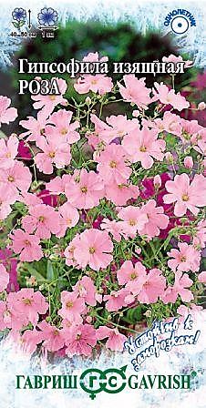 Семена Гипсофила Роза изящная