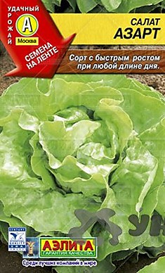 Семена Салат Азарт полукочанный