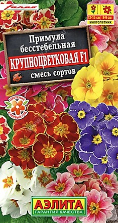 Семена Примула Крупноцветковая Аэлита Ц