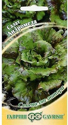 Семена Салат Андромеда 