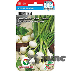 Семена Лук на зелень Помпеи 