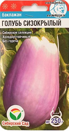 Семена Баклажан Голубь Сизокрылый