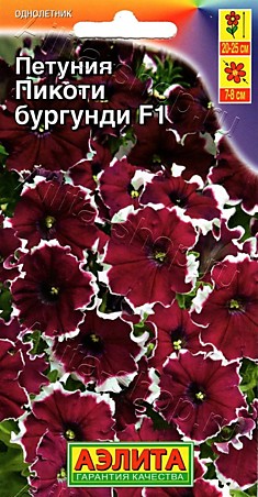 Семена Петуния Пикоти бургунди многоцветковая