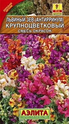 Семена Львиный зев крупноцветковый								