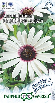 Семена Диморфотека Полярная звезда