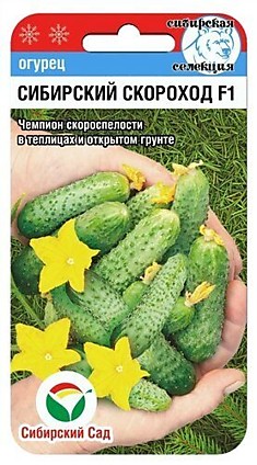 Семена Огурец Сибирский Скороход