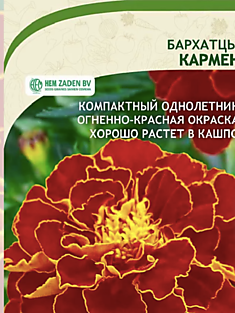 Семена Бархатцы Кармен 0,3гр 