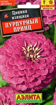 Семена Цинния Пурпурный принц