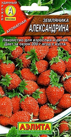 Семена Земляника Александрина 