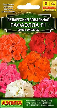 Семена Пеларгония Рафаэлла смесь