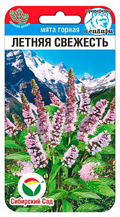 Семена Мята Летняя свежесть 
