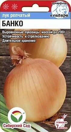 Семена Лук Банко Садовита