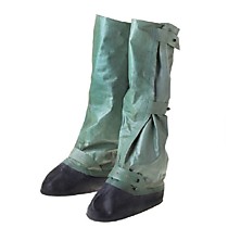Бахилы