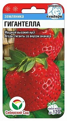 Семена Клубника Гигантелла