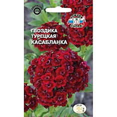 Семена Гвоздика турецкая Касабланка