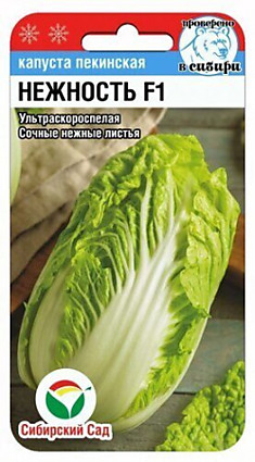 Семена Капуста пекинская Нежность F1