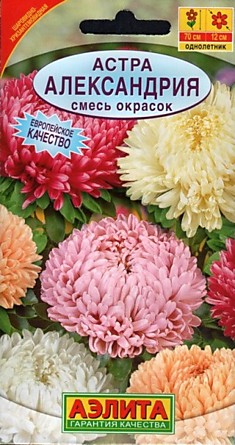 Семена Астра Александрия смесь