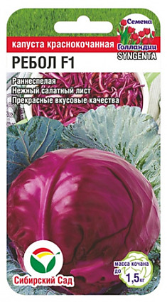 Семена Капуста к/к Ребол