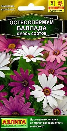 Семена Остеоспермум Баллада, смесь
