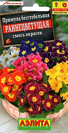Семена Примула Раннецветущая Аэлита Ц