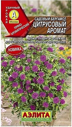 Семена Бергамот Цитрусовый аромат