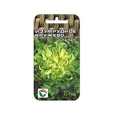 Семена Салат Изумрудное кружево