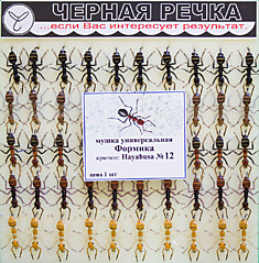 Мушка Черная речка насекомые