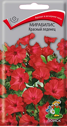 Семена Мирабилис Красный леденец 
