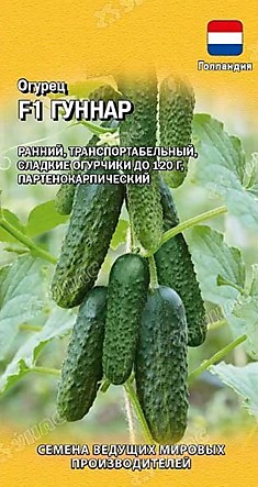 Семена Огурец Гуннар