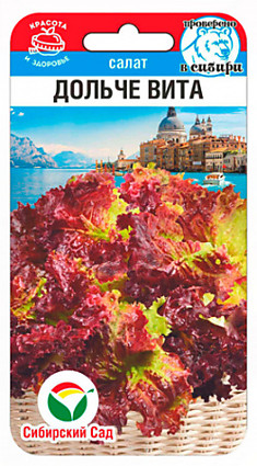 Семена Салат Дольче Вита