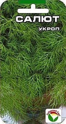Семена Укроп Салют 